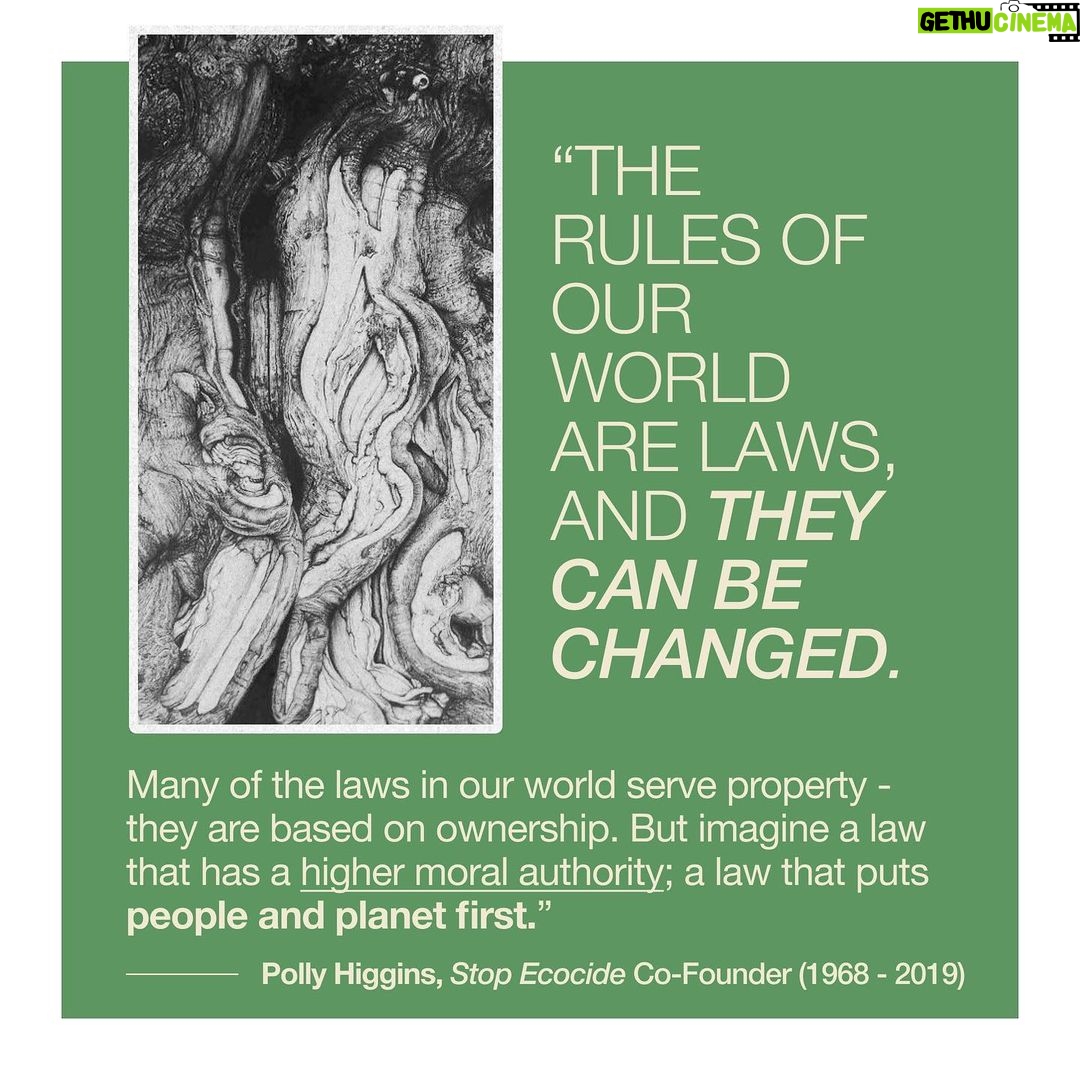Emma Watson Instagram - Ecocide: destruction of the natural environment by deliberate or negligent human action. And guess what? It should be a crime. Just like destroying property, is a crime? Yes. Because the environment is the most precious "property" we have. It is time international law had more "teeth" generally, so that people responsible for such crimes can be sanctioned effectively to safeguard all of our futures. Follow and share @EcocideLaw, and talk about their work with everyone 🦒 - it’s the main thing they need to make this a reality faster. You can also support @EcocideLaw by following their bio link 🐢 and signing their international petition! – Artist credit: 1: Graphite drawing by @blazecyan 2: Art by Yuka Watanabe 5: Art by @pablosherrero 9: Photo by @jasonbhouston Post by @AimHiLive #climateaction #climatechangeaction #naturecrisis