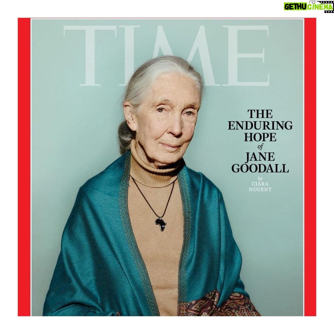 Emma Watson Instagram - "the greatest danger to our future is apathy" - dr. jane goodall every day is a good day to promote one of the world's most prolific environmentalists and greatest of human beings: jane goodall. 😍 Buy her book “The Book of Hope” as a gift to yourself or anyone you love this holiday season. WWJD what would Jane do? @janegoodallinst Art by: @red.friesian