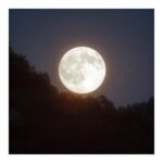 Emma Watson Instagram - Tonight's full moon, known as the "cold moon" comes with perfect timing … and this witch is excited ⚡️ It invites us all to reflect rather than manifest, stay present rather than spring to action, and shed unnecessary habits rather than seek new hobbies. Also, it arrives right before the winter solstice which is all about introspection. So for this lunar moment - exhale all the bad sh*t and inhale the new and good that is to come! It's almost a brand new year. By pursuing connection, the light and warmth will show itself in the dark and cold of winter. And who knows! Maybe tonight something magical awaits you.