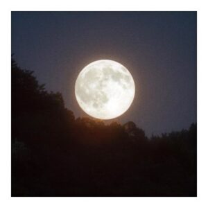 Emma Watson Instagram - Tonight's full moon, known as the "cold moon" comes with perfect timing … and this witch is excited ⚡️
It invites us all to reflect rather than manifest, stay present rather than spring to action, and shed unnecessary habits rather than seek new hobbies. Also, it arrives right before the winter solstice which is all about introspection. So for this lunar moment - exhale all the bad sh*t and inhale the new and good that is to come! It's almost a brand new year. By pursuing connection, the light and warmth will show itself in the dark and cold of winter. And who knows! Maybe tonight something magical awaits you.
