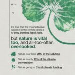 Emma Watson Instagram - Ecocide: destruction of the natural environment by deliberate or negligent human action. And guess what? It should be a crime. Just like destroying property, is a crime? Yes. Because the environment is the most precious "property" we have. It is time international law had more "teeth" generally, so that people responsible for such crimes can be sanctioned effectively to safeguard all of our futures. Follow and share @EcocideLaw, and talk about their work with everyone 🦒 - it’s the main thing they need to make this a reality faster. You can also support @EcocideLaw by following their bio link 🐢 and signing their international petition! – Artist credit: 1: Graphite drawing by @blazecyan 2: Art by Yuka Watanabe 5: Art by @pablosherrero 9: Photo by @jasonbhouston Post by @AimHiLive #climateaction #climatechangeaction #naturecrisis