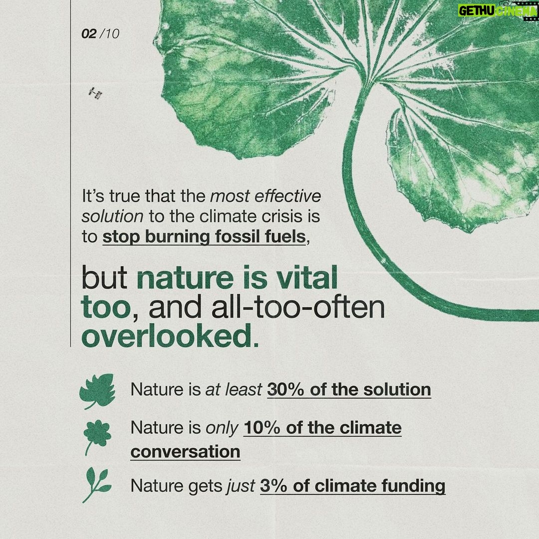Emma Watson Instagram - Ecocide: destruction of the natural environment by deliberate or negligent human action. And guess what? It should be a crime. Just like destroying property, is a crime? Yes. Because the environment is the most precious "property" we have. It is time international law had more "teeth" generally, so that people responsible for such crimes can be sanctioned effectively to safeguard all of our futures. Follow and share @EcocideLaw, and talk about their work with everyone 🦒 - it’s the main thing they need to make this a reality faster. You can also support @EcocideLaw by following their bio link 🐢 and signing their international petition! – Artist credit: 1: Graphite drawing by @blazecyan 2: Art by Yuka Watanabe 5: Art by @pablosherrero 9: Photo by @jasonbhouston Post by @AimHiLive #climateaction #climatechangeaction #naturecrisis