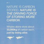 Emma Watson Instagram - Ecocide: destruction of the natural environment by deliberate or negligent human action. And guess what? It should be a crime. Just like destroying property, is a crime? Yes. Because the environment is the most precious "property" we have. It is time international law had more "teeth" generally, so that people responsible for such crimes can be sanctioned effectively to safeguard all of our futures. Follow and share @EcocideLaw, and talk about their work with everyone 🦒 - it’s the main thing they need to make this a reality faster. You can also support @EcocideLaw by following their bio link 🐢 and signing their international petition! – Artist credit: 1: Graphite drawing by @blazecyan 2: Art by Yuka Watanabe 5: Art by @pablosherrero 9: Photo by @jasonbhouston Post by @AimHiLive #climateaction #climatechangeaction #naturecrisis