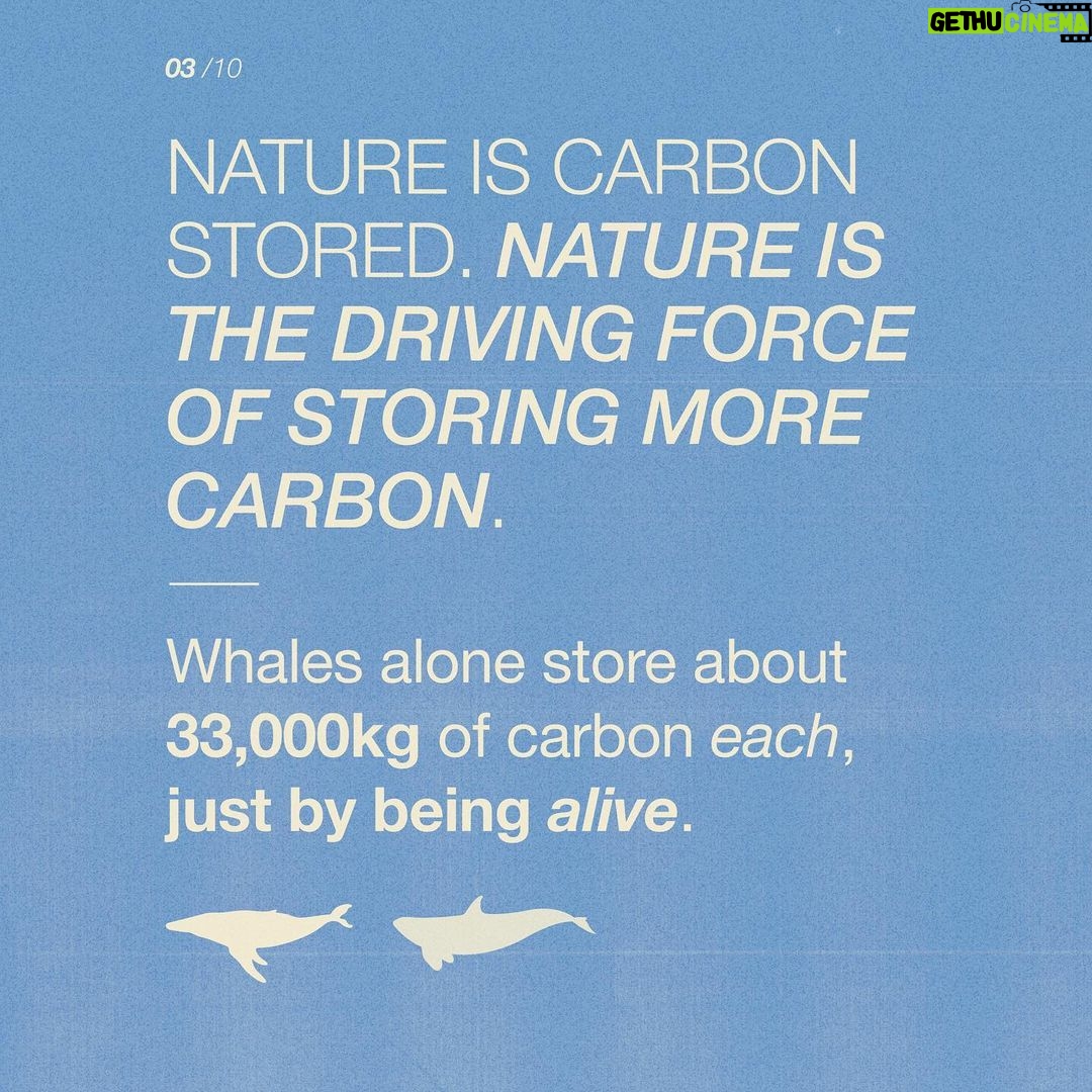 Emma Watson Instagram - Ecocide: destruction of the natural environment by deliberate or negligent human action. And guess what? It should be a crime. Just like destroying property, is a crime? Yes. Because the environment is the most precious "property" we have. It is time international law had more "teeth" generally, so that people responsible for such crimes can be sanctioned effectively to safeguard all of our futures. Follow and share @EcocideLaw, and talk about their work with everyone 🦒 - it’s the main thing they need to make this a reality faster. You can also support @EcocideLaw by following their bio link 🐢 and signing their international petition! – Artist credit: 1: Graphite drawing by @blazecyan 2: Art by Yuka Watanabe 5: Art by @pablosherrero 9: Photo by @jasonbhouston Post by @AimHiLive #climateaction #climatechangeaction #naturecrisis