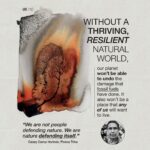 Emma Watson Instagram - Ecocide: destruction of the natural environment by deliberate or negligent human action. And guess what? It should be a crime. Just like destroying property, is a crime? Yes. Because the environment is the most precious "property" we have. It is time international law had more "teeth" generally, so that people responsible for such crimes can be sanctioned effectively to safeguard all of our futures. Follow and share @EcocideLaw, and talk about their work with everyone 🦒 - it’s the main thing they need to make this a reality faster. You can also support @EcocideLaw by following their bio link 🐢 and signing their international petition! – Artist credit: 1: Graphite drawing by @blazecyan 2: Art by Yuka Watanabe 5: Art by @pablosherrero 9: Photo by @jasonbhouston Post by @AimHiLive #climateaction #climatechangeaction #naturecrisis