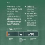 Emma Watson Instagram - Ecocide: destruction of the natural environment by deliberate or negligent human action. And guess what? It should be a crime. Just like destroying property, is a crime? Yes. Because the environment is the most precious "property" we have. It is time international law had more "teeth" generally, so that people responsible for such crimes can be sanctioned effectively to safeguard all of our futures. Follow and share @EcocideLaw, and talk about their work with everyone 🦒 - it’s the main thing they need to make this a reality faster. You can also support @EcocideLaw by following their bio link 🐢 and signing their international petition! – Artist credit: 1: Graphite drawing by @blazecyan 2: Art by Yuka Watanabe 5: Art by @pablosherrero 9: Photo by @jasonbhouston Post by @AimHiLive #climateaction #climatechangeaction #naturecrisis