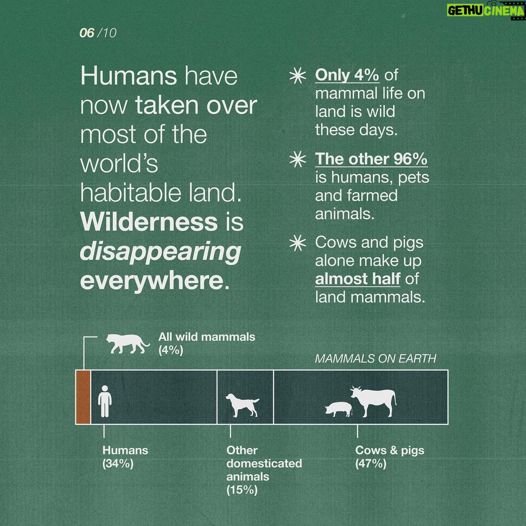 Emma Watson Instagram - Ecocide: destruction of the natural environment by deliberate or negligent human action. And guess what? It should be a crime. Just like destroying property, is a crime? Yes. Because the environment is the most precious "property" we have. It is time international law had more "teeth" generally, so that people responsible for such crimes can be sanctioned effectively to safeguard all of our futures. Follow and share @EcocideLaw, and talk about their work with everyone 🦒 - it’s the main thing they need to make this a reality faster. You can also support @EcocideLaw by following their bio link 🐢 and signing their international petition! – Artist credit: 1: Graphite drawing by @blazecyan 2: Art by Yuka Watanabe 5: Art by @pablosherrero 9: Photo by @jasonbhouston Post by @AimHiLive #climateaction #climatechangeaction #naturecrisis