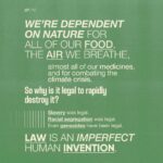 Emma Watson Instagram - Ecocide: destruction of the natural environment by deliberate or negligent human action. And guess what? It should be a crime. Just like destroying property, is a crime? Yes. Because the environment is the most precious "property" we have. It is time international law had more "teeth" generally, so that people responsible for such crimes can be sanctioned effectively to safeguard all of our futures. Follow and share @EcocideLaw, and talk about their work with everyone 🦒 - it’s the main thing they need to make this a reality faster. You can also support @EcocideLaw by following their bio link 🐢 and signing their international petition! – Artist credit: 1: Graphite drawing by @blazecyan 2: Art by Yuka Watanabe 5: Art by @pablosherrero 9: Photo by @jasonbhouston Post by @AimHiLive #climateaction #climatechangeaction #naturecrisis