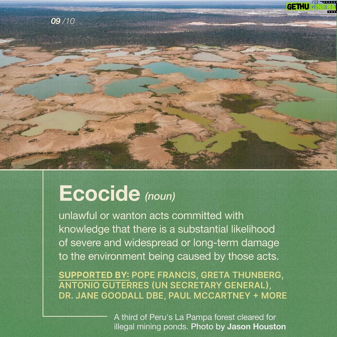 Emma Watson Instagram - Ecocide: destruction of the natural environment by deliberate or negligent human action. And guess what? It should be a crime. Just like destroying property, is a crime? Yes. Because the environment is the most precious "property" we have. It is time international law had more "teeth" generally, so that people responsible for such crimes can be sanctioned effectively to safeguard all of our futures. Follow and share @EcocideLaw, and talk about their work with everyone 🦒 - it’s the main thing they need to make this a reality faster. You can also support @EcocideLaw by following their bio link 🐢 and signing their international petition! – Artist credit: 1: Graphite drawing by @blazecyan 2: Art by Yuka Watanabe 5: Art by @pablosherrero 9: Photo by @jasonbhouston Post by @AimHiLive #climateaction #climatechangeaction #naturecrisis