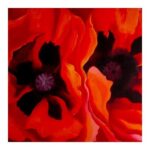 Emma Watson Instagram - "If you take a flower in your hand and really look at it, it's your world for a moment.” ― Georgia O'Keefe