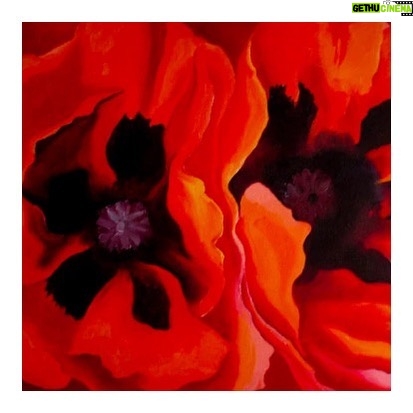 Emma Watson Instagram - "If you take a flower in your hand and really look at it, it's your world for a moment.” ― Georgia O'Keefe