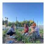Emma Watson Instagram - For my 31st birthday, my birthday wish was to get to go to Apricot Lane Farms after watching the documentary "The Biggest Little Farm." I thought I was just going to get a tour and couldn’t believe it when Molly came out to meet me on a golf cart! Nothing about the day disappointed. Both Molly and John were every bit as kind and inspiring in real life as I dreamed they would be. Getting to be on the farm gave me the hope that I may too one day build my own little paradise like this and maybe even have my own pig. 😂 Thank you so much again to John and Molly for your hospitality, warm hearts and your inspiration. E x