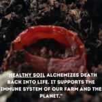 Emma Watson Instagram - "MAGIC SOIL: A nation that destroys its soils, destroys itself." - Franklin D. Roosevelt If you haven't watched the 2019 documentary @thebiggestlittlefarm yet, do your heart a favor and do so. In the meantime, @apricotlanefarms' founder, JOHN CHESTER, is here to discuss REGENERATIVE AGRICULTURE, BIODIVERSITY, and WHY IT MATTERS. ♥️♥️♥️ Thank you to sweet @ChristyDawn for the regenerative dress 🤍