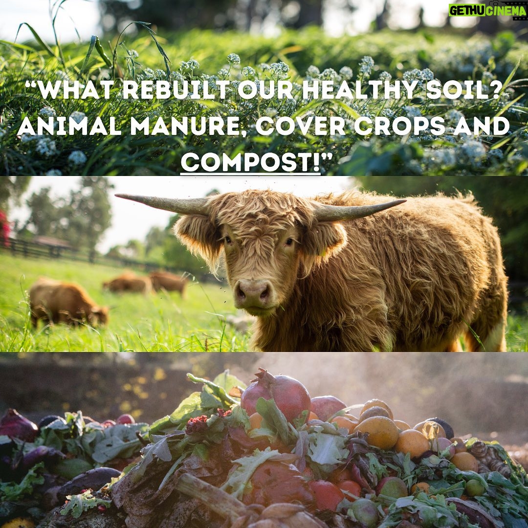 Emma Watson Instagram - "MAGIC SOIL: A nation that destroys its soils, destroys itself." - Franklin D. Roosevelt If you haven't watched the 2019 documentary @thebiggestlittlefarm yet, do your heart a favor and do so. In the meantime, @apricotlanefarms' founder, JOHN CHESTER, is here to discuss REGENERATIVE AGRICULTURE, BIODIVERSITY, and WHY IT MATTERS. ♥️♥️♥️ Thank you to sweet @ChristyDawn for the regenerative dress 🤍