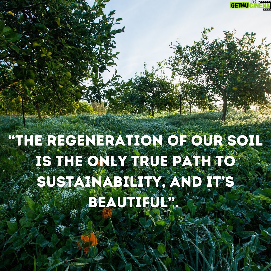 Emma Watson Instagram - "MAGIC SOIL: A nation that destroys its soils, destroys itself." - Franklin D. Roosevelt If you haven't watched the 2019 documentary @thebiggestlittlefarm yet, do your heart a favor and do so. In the meantime, @apricotlanefarms' founder, JOHN CHESTER, is here to discuss REGENERATIVE AGRICULTURE, BIODIVERSITY, and WHY IT MATTERS. ♥️♥️♥️ Thank you to sweet @ChristyDawn for the regenerative dress 🤍