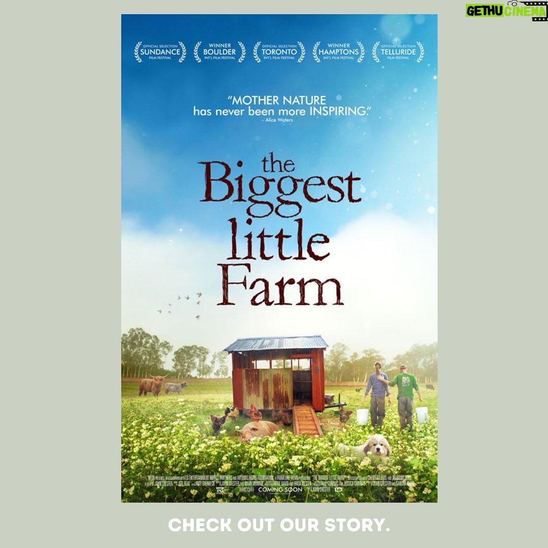 Emma Watson Instagram - "MAGIC SOIL: A nation that destroys its soils, destroys itself." - Franklin D. Roosevelt If you haven't watched the 2019 documentary @thebiggestlittlefarm yet, do your heart a favor and do so. In the meantime, @apricotlanefarms' founder, JOHN CHESTER, is here to discuss REGENERATIVE AGRICULTURE, BIODIVERSITY, and WHY IT MATTERS. ♥️♥️♥️ Thank you to sweet @ChristyDawn for the regenerative dress 🤍