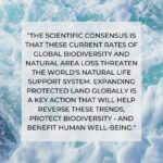 Emma Watson Instagram - "The next ten years must be a time of renewal, of rewilding our lives, of green recovery. We all need nature more than ever and when we succeed in reaching 30 by 30 we’ll have wilder landscapes that store carbon and provide on-your-doorstep nature for people too. Everyone can support and help us to succeed." -Craig Bennett Chief Executive, The Wildlife Trusts #30x30