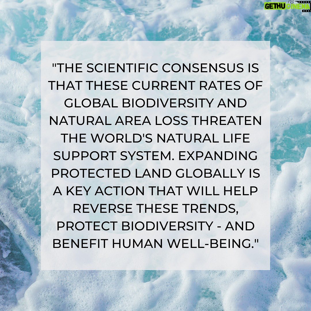 Emma Watson Instagram - "The next ten years must be a time of renewal, of rewilding our lives, of green recovery. We all need nature more than ever and when we succeed in reaching 30 by 30 we’ll have wilder landscapes that store carbon and provide on-your-doorstep nature for people too. Everyone can support and help us to succeed." -Craig Bennett Chief Executive, The Wildlife Trusts #30x30