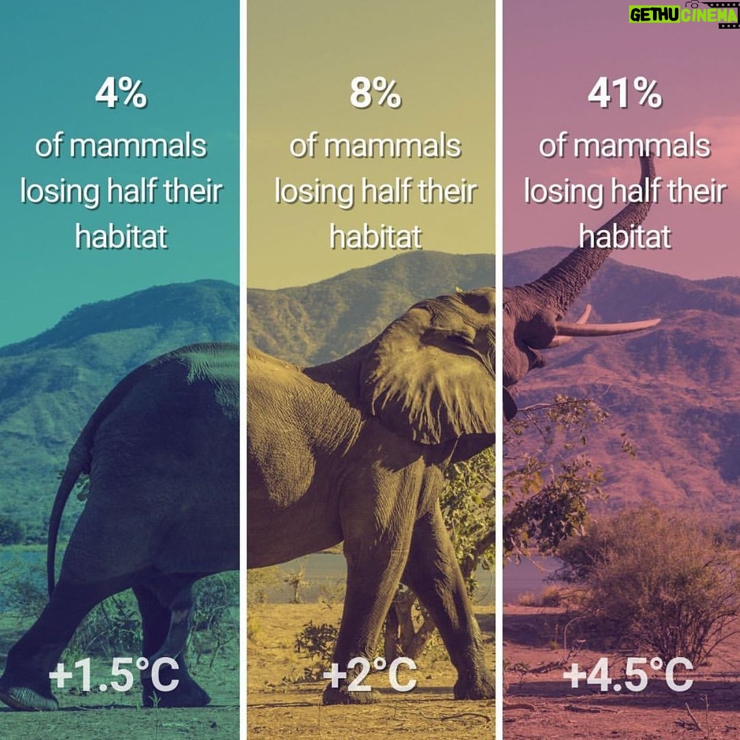 Emma Watson Instagram - #REPOST from @unclimatechange — The difference between 1.5°C, 2°C or 3-4°C average global warming can sound marginal. In fact, they represent vastly different scenarios for the future of humanity. The frequency of disasters, the survival of plants and animals, the spread of diseases, the stability of our global climate system and - ultimately - the possibility for humanity to survive on this planet hinge on these few degrees and percentages of degrees. Today, we still have the chance to meet the 1.5°C goal mentioned in the Paris Agreement. We can still protect ourselves from the worst climate impacts and shape a healthier future. But we are rapidly approaching irreversible climate tipping points. This is why the climate conference #COP26 - which is kicking off in less than two weeks in Glasgow - is so important for the global fight against climate change. Countries must conclude outstanding items regarding the implementation of the Paris Agreement and lay the ground for a transformational decade of climate action in the 2020’s. #ItsPossible #GenerationRestoration #ClimateCrisis #ClimateChange #ParisAgreement #SDGs