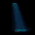 Emma Watson Instagram - 🌊🌊🌊🌊🌊 A woman in a free dive, a woman who knows no boundary. I took free diving lessons just for this commercial. I now can hold my breath underwater for 2 minutes! Kinda crazy! But it was important to me that this commercial captured the many facets of a woman - and this facet hopefully speaks to the adventurer. X @saltfishfreedivingibiza @blueheaven.freediving