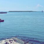 Enzo Palumbo Instagram – #BeachHaven🌊 Beach Haven