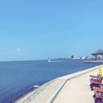 Enzo Palumbo Instagram - #BeachHaven🌊 Beach Haven