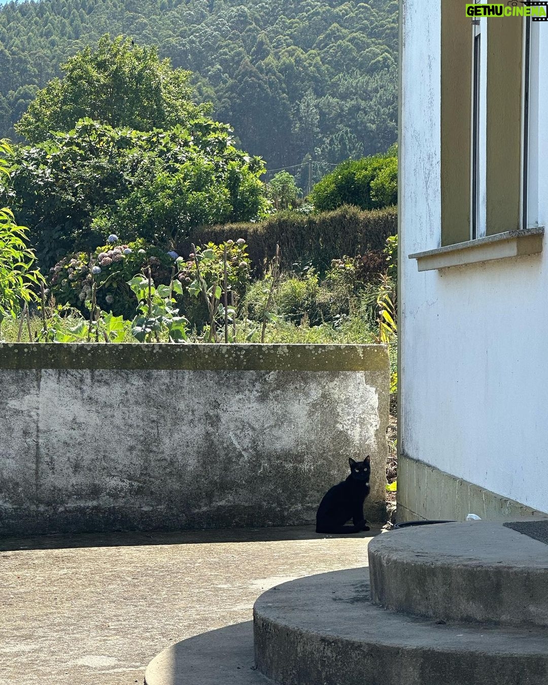 Ester Exp贸sito Instagram - atravesao馃徆 Galicia