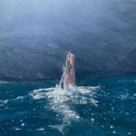Ester Expósito Instagram -
