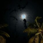Ester Expósito Instagram - ✰estrellita de madrugada✰ Riviera Maya