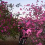 Ester Expósito Instagram -