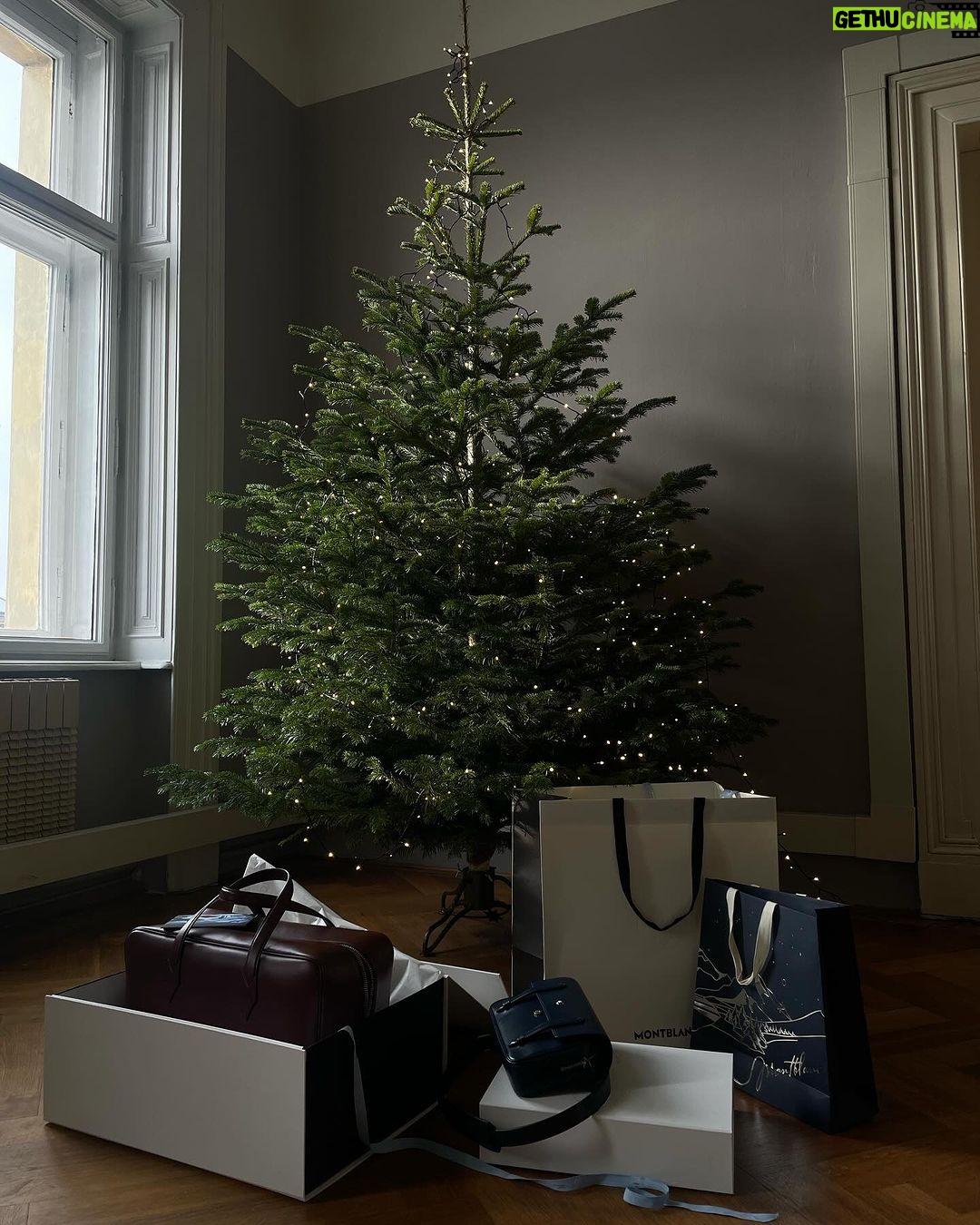 Ester Geislerová Instagram - Kabelka a elegantní věci denní potřeby v jednom, to jdou dárky od @montblanc. Překrásné tašky a pera a zápisníky. A s dlouholetou tradicí. Je radost obdarovat Aňu a @geislerka ví, že potřebuju novu kabelku a já vím, že tyhle velký tašky na cestování-to je její druhy jméno-Aňa Válká taška na cestování Geislerová. Má další jména-od malička- jsou, jak už teď všichni víte , Eťa Prďa Smrďa Geislerová No.:) Tak dělejte radost.) 💙❣️📝🖋️✒️🖌️📧🎁 #HeartWritten #InspireWriting #spoluprace @montblanc