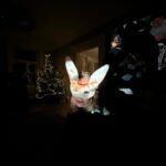 Ester Geislerová Instagram – Miluju promítačky a promítání… odjakživa! Projektory na diapozitivy, promítačky v kině, domácí malé projektory. Měla jsem se jmenovat Epson, ne Ester. 
#atelier22  Párti @atelier22_23 @zuza_led @katerinaoujezdska @geislerka