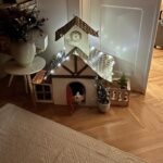 Ester Geislerová Instagram - #kocourmuto & jak se staví sen… )) Já nevim, co bych k tomu.. prostě ho máme rádi a Muto má rád krabice. 📦🏡 a díky za tu lásku, co nám dáváš. #catlovers & a @martin.h.krupa jsme dobrej tým.🫂❤️🙏
