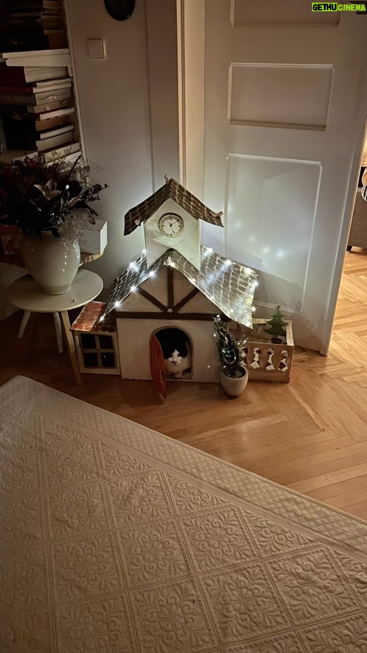 Ester Geislerová Instagram - #kocourmuto & jak se staví sen… )) Já nevim, co bych k tomu.. prostě ho máme rádi a Muto má rád krabice. 📦🏡 a díky za tu lásku, co nám dáváš. #catlovers & a @martin.h.krupa jsme dobrej tým.🫂❤️🙏
