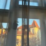Ester Geislerová Instagram - V jednom malém kouzelném domku ve Strašnicích,(U nových vil 11), kouzlí @halova.marketa s kosmetikou @cosmedix_me a umí fantasticky masírovat, čistit, trhat (obočí), barvit, ale i pobavit..a hlavně zachránit. A to třeba u akutně, když se pleť z ničeho,(antibiotika) poblázní… záchrana. A to se hodí nám všem.) Děkuji za péči! 🩵 a doporučuji! @cosmedix_me @halova.marketa #cosmedixskincare #spoluprace #🤍🕊️