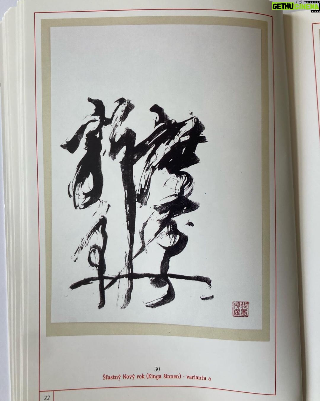 Ester Geislerová Instagram - Dvě kaligrafie, stejný pojem Šťastný Nový rok (Kinga šinnen) -varianta b) a a) od táty, Petra Geislera. #petrgeisler . . # #japancaligraphy #japonskakaligrafie 🖤
