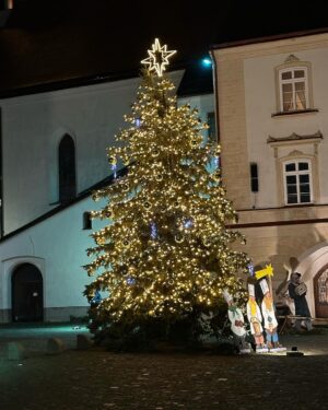 Ester Geislerová Instagram - Klid.🎄