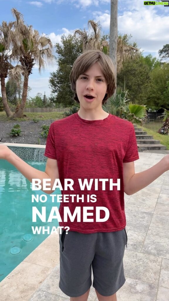 Ethan Thomas Jung Instagram - Am I doing this right? Learning ASL, so of course had to try a joke: What do you walk a bear 🐻with no teeth 🦷? A gummy bear. 😂 #lol #lolz #dadjoke #joke #funny #laugh #silly #bear #gummybear #asl #signlanguage #learning #signing