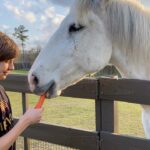 Ethan Thomas Jung Instagram - How to feed carrots (and any treats!) to horses. Watch those fingers! 🥕 🐴 #horse #horses #lusitano #paint #mare #gelding #carrots #treats #smile #outdoors #food