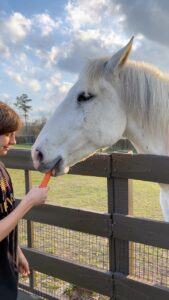 Ethan Thomas Jung Instagram - How to feed carrots (and any treats!) to horses. Watch those fingers! 🥕 🐴 #horse #horses #lusitano #paint #mare #gelding #carrots #treats #smile #outdoors #food