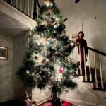 Ethan Thomas Jung Instagram - Tree ✅ Time to wrap some gifts 🎁 #christmas #holidays #bestof #decorate #home #tree #christmastree #bestoftheday #peace