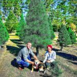 Ethan Thomas Jung Instagram - Christmas tree farm 2022. Had hot chocolate and cookies while we waiting for the tree to be wrapped up. Hotsie and Tallulah enjoyed saying hi to everyone 👋#blueskies #christmas #christmastree #family #bulldog #corgi #dogs #family #outdoors #aboyandhisdog #real #farm