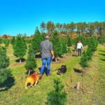 Ethan Thomas Jung Instagram - Christmas tree farm 2022. Had hot chocolate and cookies while we waiting for the tree to be wrapped up. Hotsie and Tallulah enjoyed saying hi to everyone 👋#blueskies #christmas #christmastree #family #bulldog #corgi #dogs #family #outdoors #aboyandhisdog #real #farm