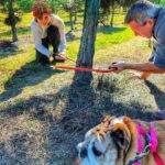 Ethan Thomas Jung Instagram - Christmas tree farm 2022. Had hot chocolate and cookies while we waiting for the tree to be wrapped up. Hotsie and Tallulah enjoyed saying hi to everyone 👋#blueskies #christmas #christmastree #family #bulldog #corgi #dogs #family #outdoors #aboyandhisdog #real #farm