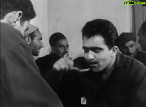 Fariborz Arabnia Instagram - ▪️فیلم خواستگاری(۱۳۴۱) کارگردان و تهیهکننده: ابراهیم گلستان بازیگر نقش خواهر داماد: فروغ فرخزاد موسسهی ملی فیلم کانادا در سال ۱۳۴۰، ساختن فیلم کوتاهی به نام خواستگاری را به «سازمان فیلم گلستان» پیشنهاد کرد. در این فیلم، ‘فروغ فرخزاد’ هم دستیار کارگردان بود و هم بازیگرِ نقشِ خواهرِداماد. نقش حاجآقا(پدر عروس) را ابتدا قرار بود ‘جلال آلاحمد’ بازی کند که بعد از انصراف او، ‘پرویز داریوش’ این نقش را بازی کرد. ‘طوسی حایری’ نیز، نقش مادر حسن(داماد) را دارد. نقش داماد را ‘محمود هنگوال’ بازی میکند. عروس هم ‘هایده تقوی’، دخترعموی ‘ابراهیم گلستان’ است. شاید این اولین باری باشد که لحظاتی پر از افسون و خاطرهانگیز را بتوان از بازی ‘فروغ فرخزاد’، آن هم با این کیفیت خوب تماشا کرد و البته، در کنار ‘پرویز داریوش’(۴/اسفند/۱۳۰۱ تا ۱۵/اسفند/۱۳۷۹ نویسنده، شاعر، و مترجم پرکار معروف ایرانی) و ‘طوسیِ حایری’(نویسنده، مترجم، و اولین گویندهی زن رادیوی ملی ایران). ‘طوسی حایری’ پس از پایان تحصیلات دبیرستانی، به فرانسه رفت و از دانشگاه سوربن دکتری زبان فرانسه دریافت کرد. ▪️بستهی یکم، ورق بزنید و دنبالهی فیلم را در بستهی دوم تماشا کنید.