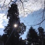 Faye Marsay Instagram - A walk in the beauty of North Yorkshire