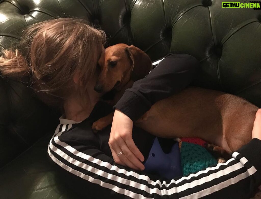 Faye Marsay Instagram - Snuggles with a sausage