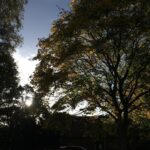 Faye Marsay Instagram - The North.