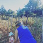 Feride Çetin Instagram – Domates güzeli bu kez de anneannesinin bahçesinde…🍅🧿 #domatesgüzeli #doğaltarım #dalındantazetaze #annemvekızım #hayathanımharikalardiyarında Çatalca, İstanbul