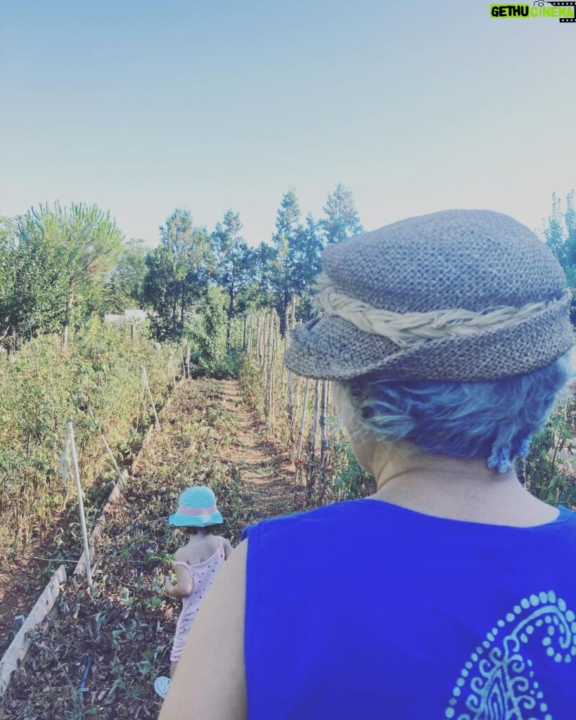 Feride Çetin Instagram - Domates güzeli bu kez de anneannesinin bahçesinde...🍅🧿 #domatesgüzeli #doğaltarım #dalındantazetaze #annemvekızım #hayathanımharikalardiyarında Çatalca, İstanbul